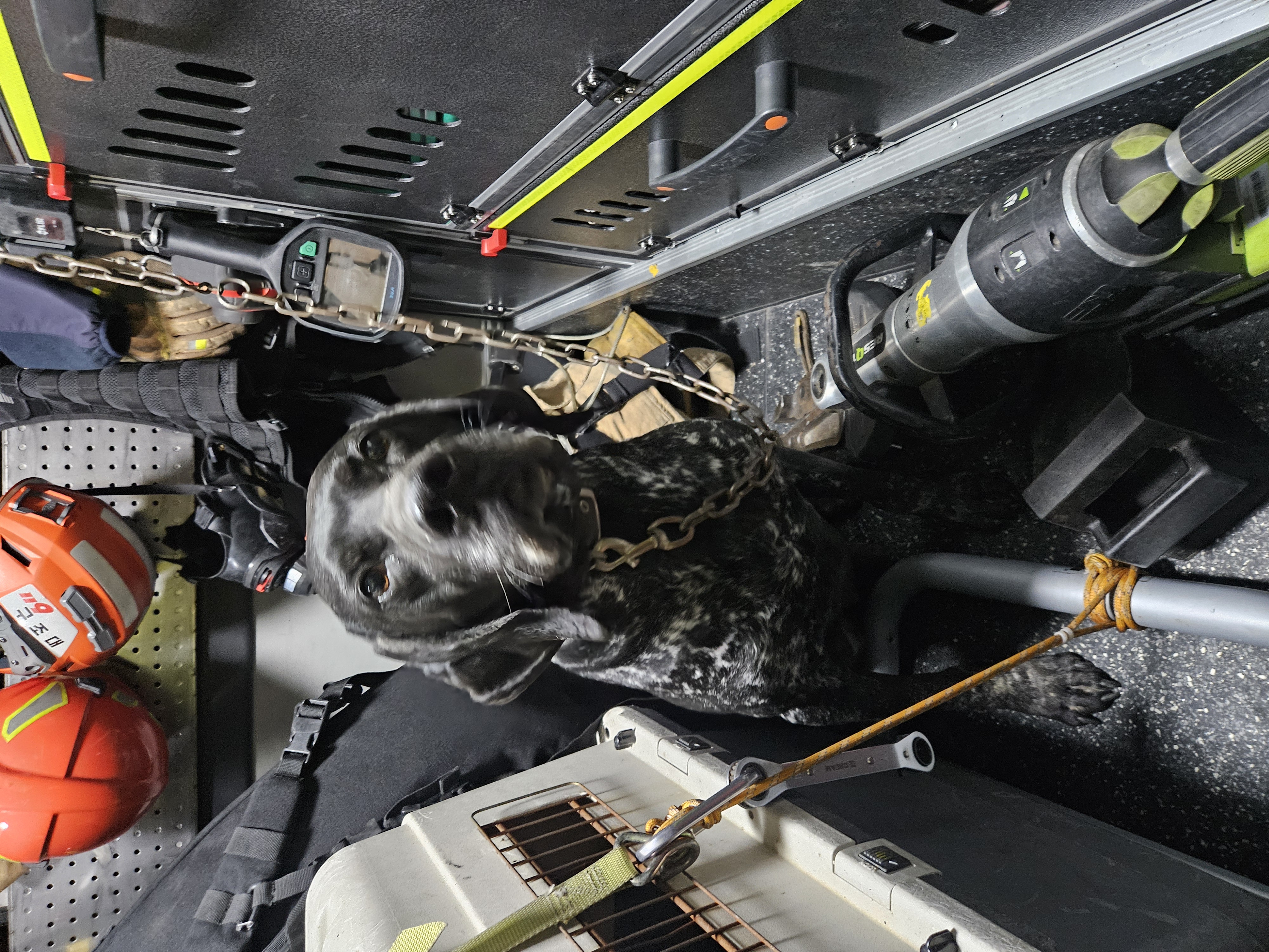 2026.2.5.(목)/울산광역시 울주군 온양읍 망양리  502-2 GS25 망양회야점 이미지 1