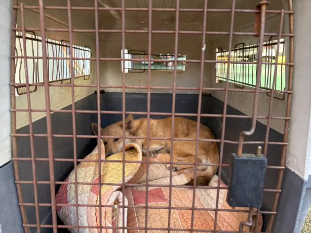 2025.11.30.(일)/울산광역시 울주군 나사리 190-4/개