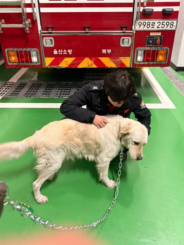 2025.12.06. / 매곡천 / 리트리버