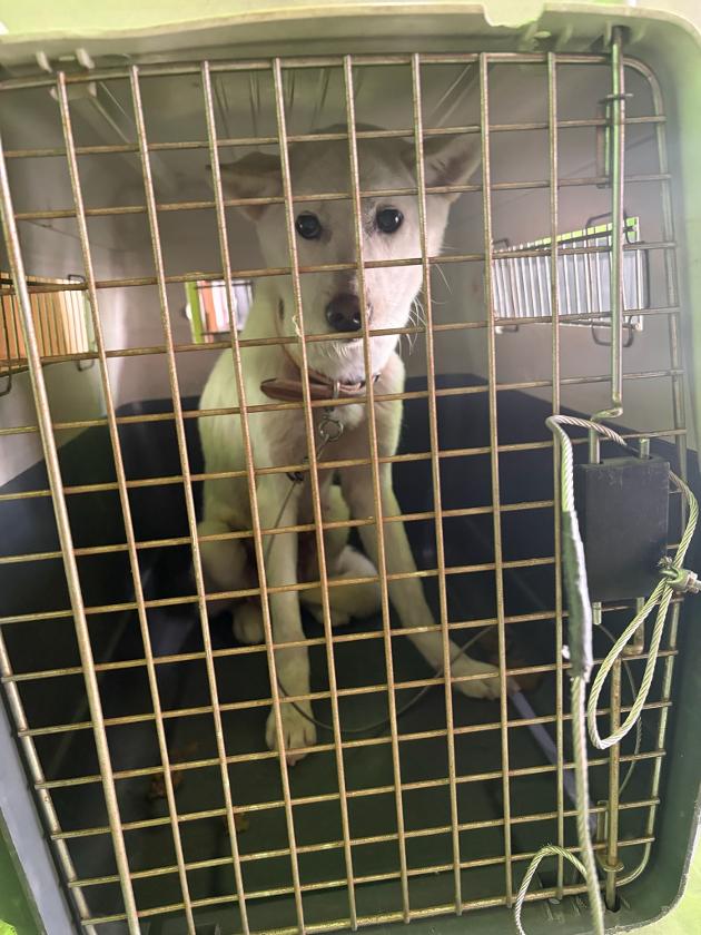 2026.1.24.(토) 종가18길 3-9 / 개