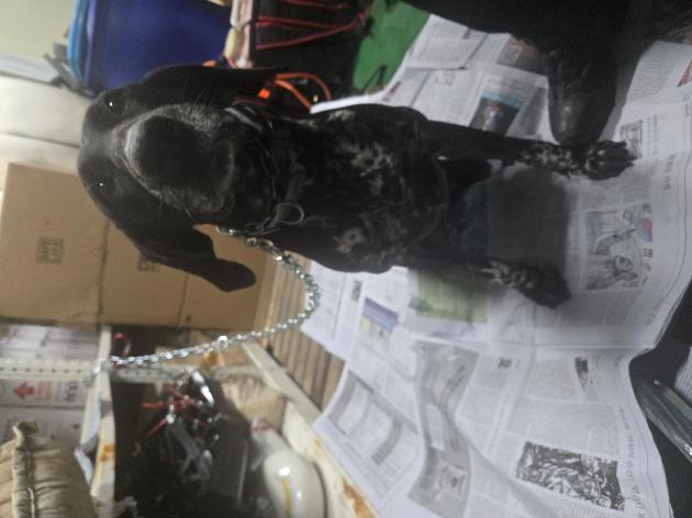 2026. 3. 1.(일) / 울산 북구 매곡동 913-10 에일린의 뜰1차 / 개